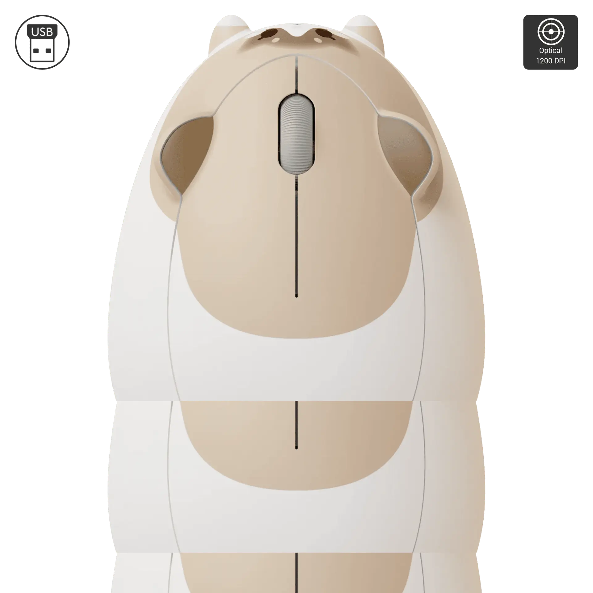 Ragdoll Cat