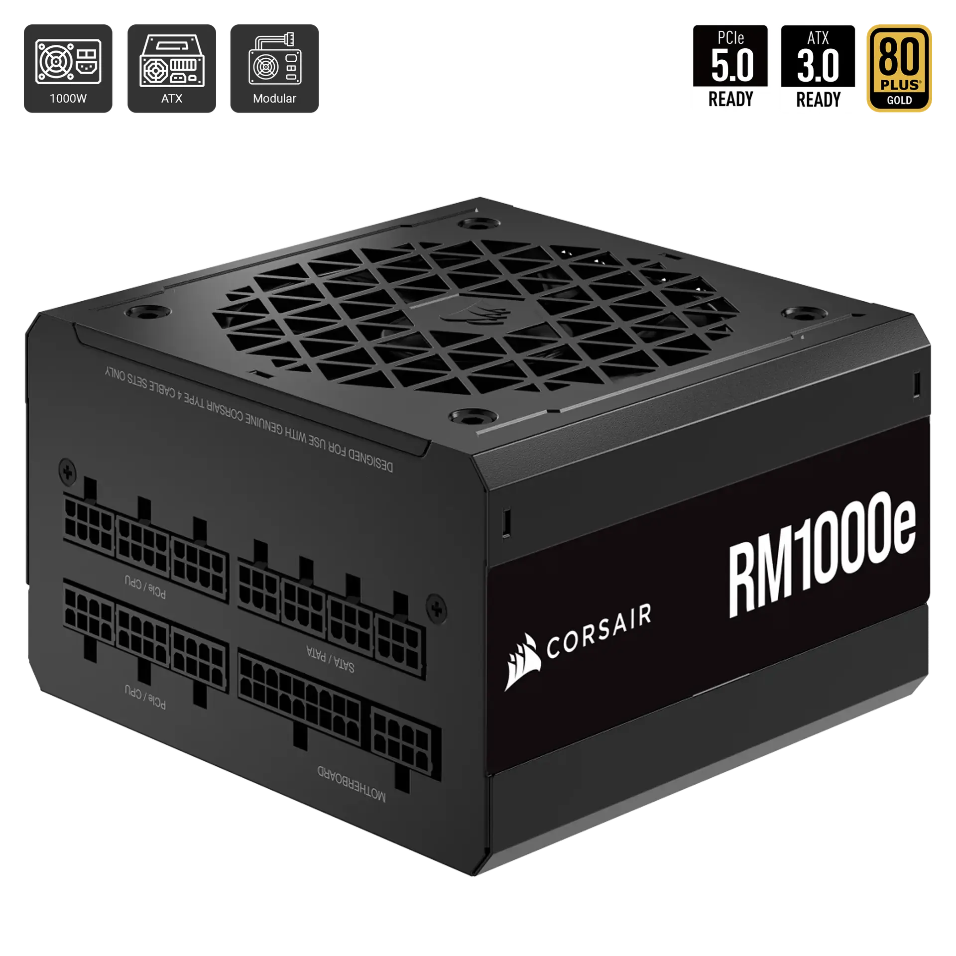 RM1000e 2023