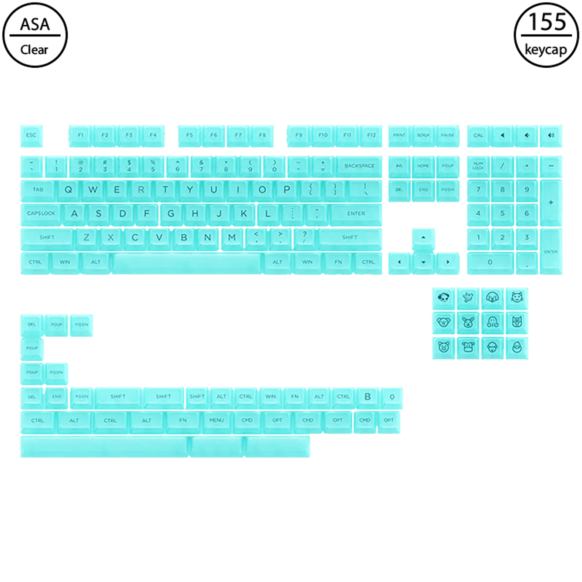 Clear Transparent - Mint