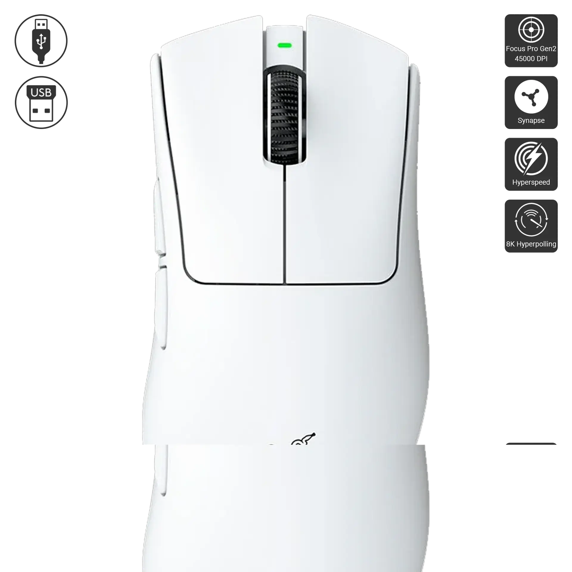 Deathadder V4 Pro