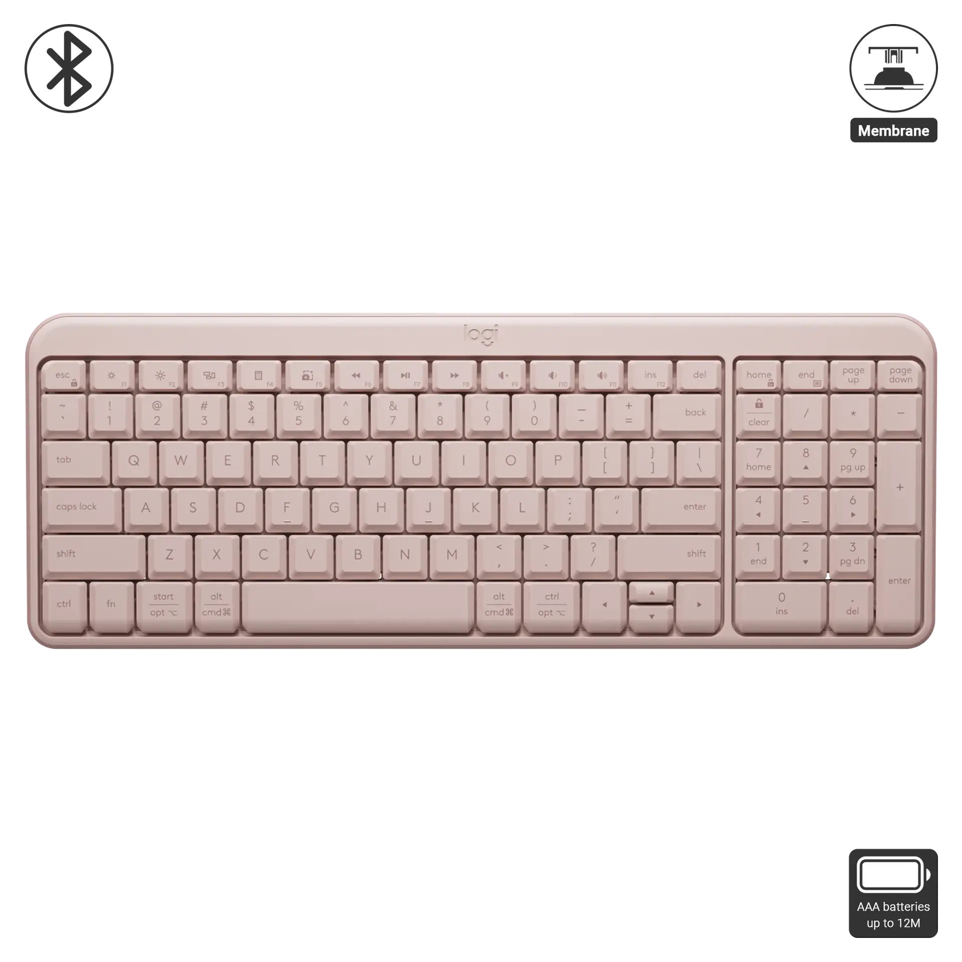 K251