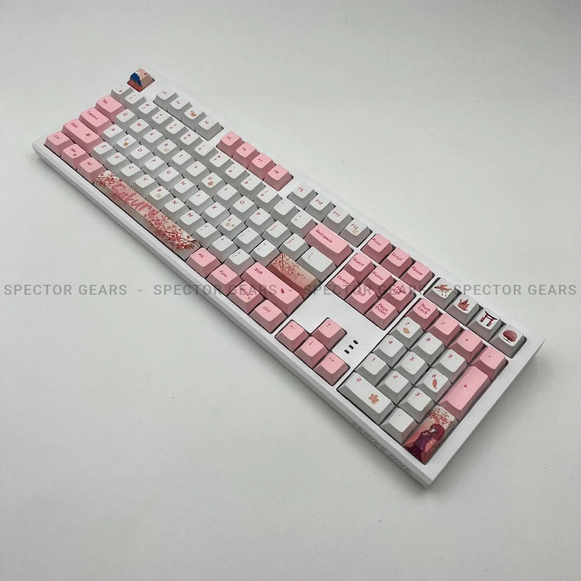 Series One x Sakura - TK Computer KH, Cambodia