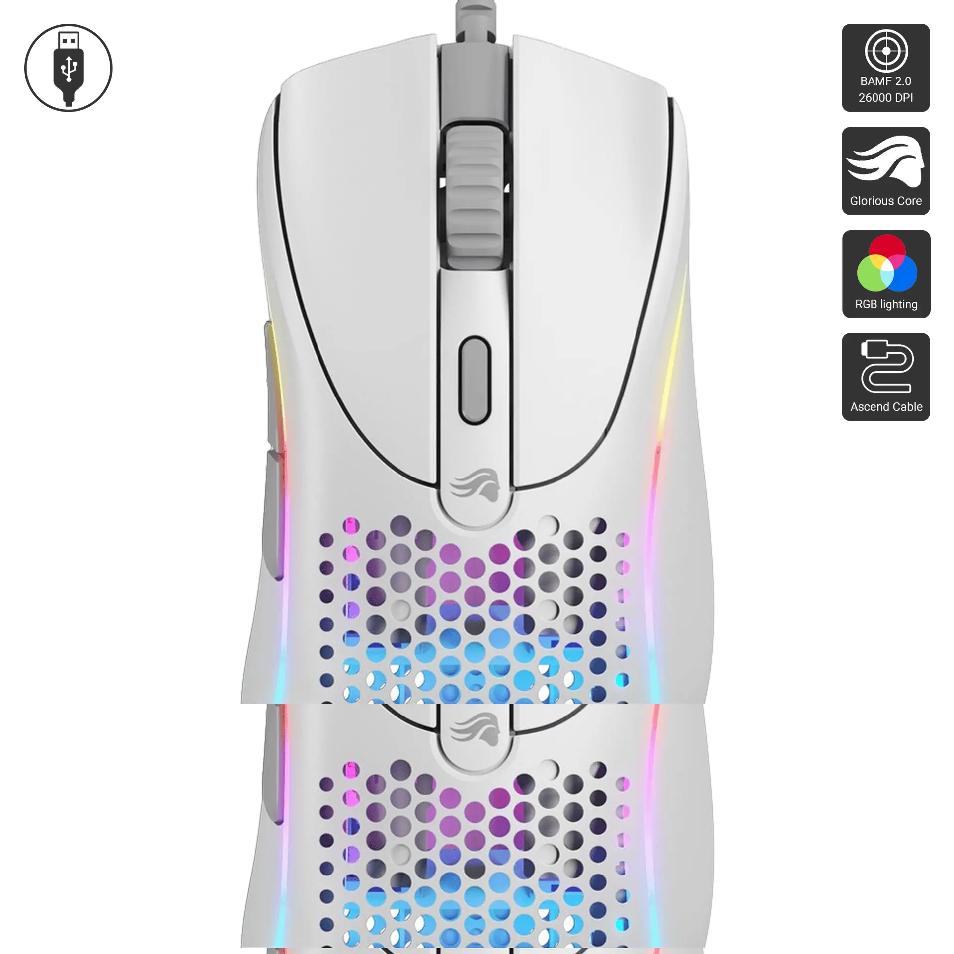 Model D2