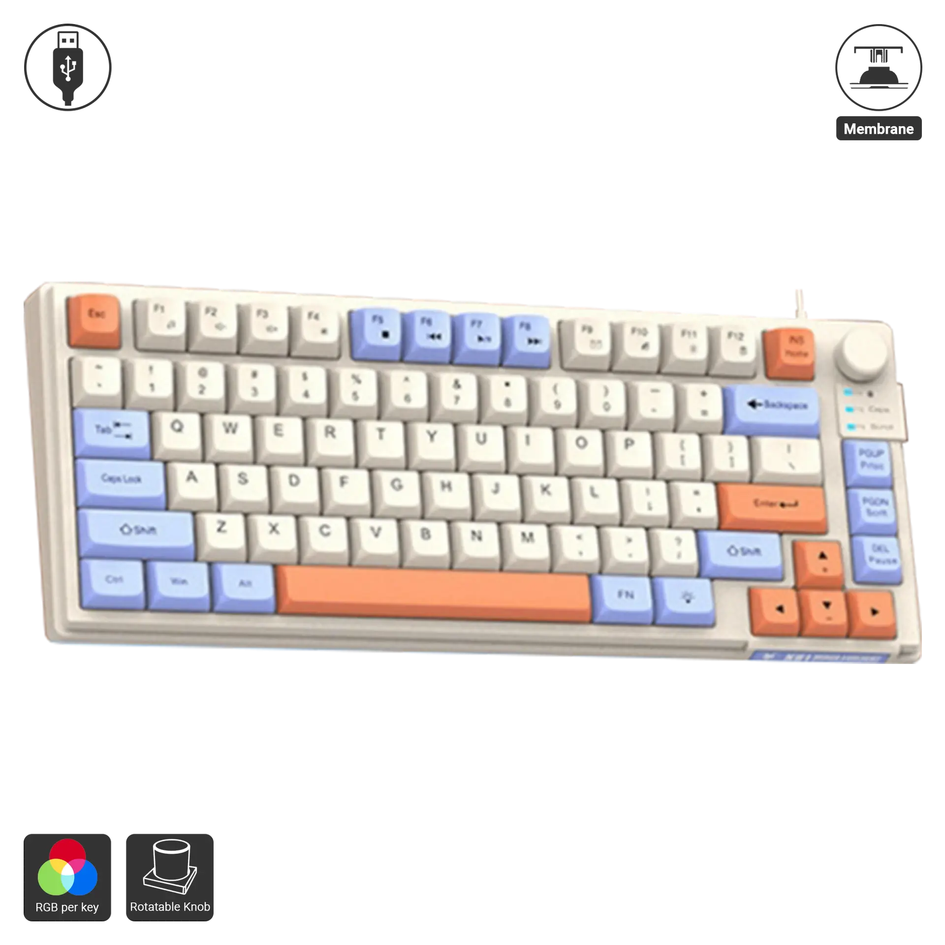 K81