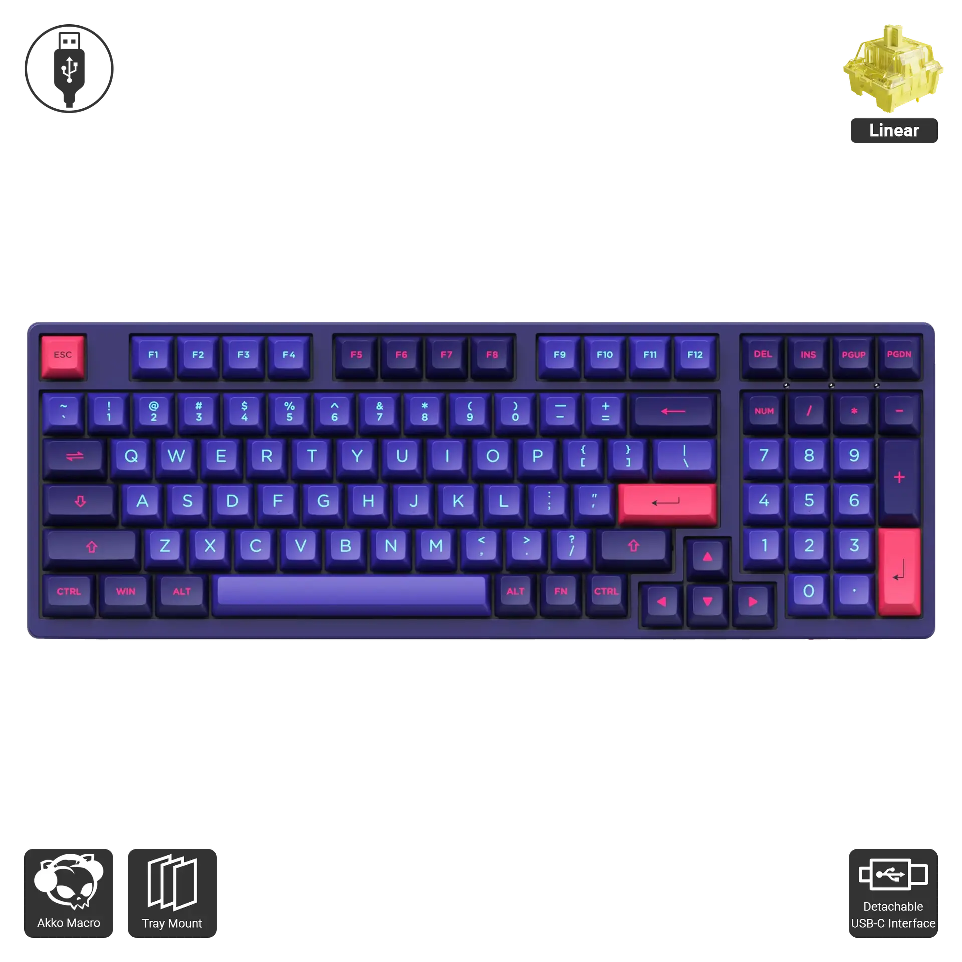 3098 - Neon