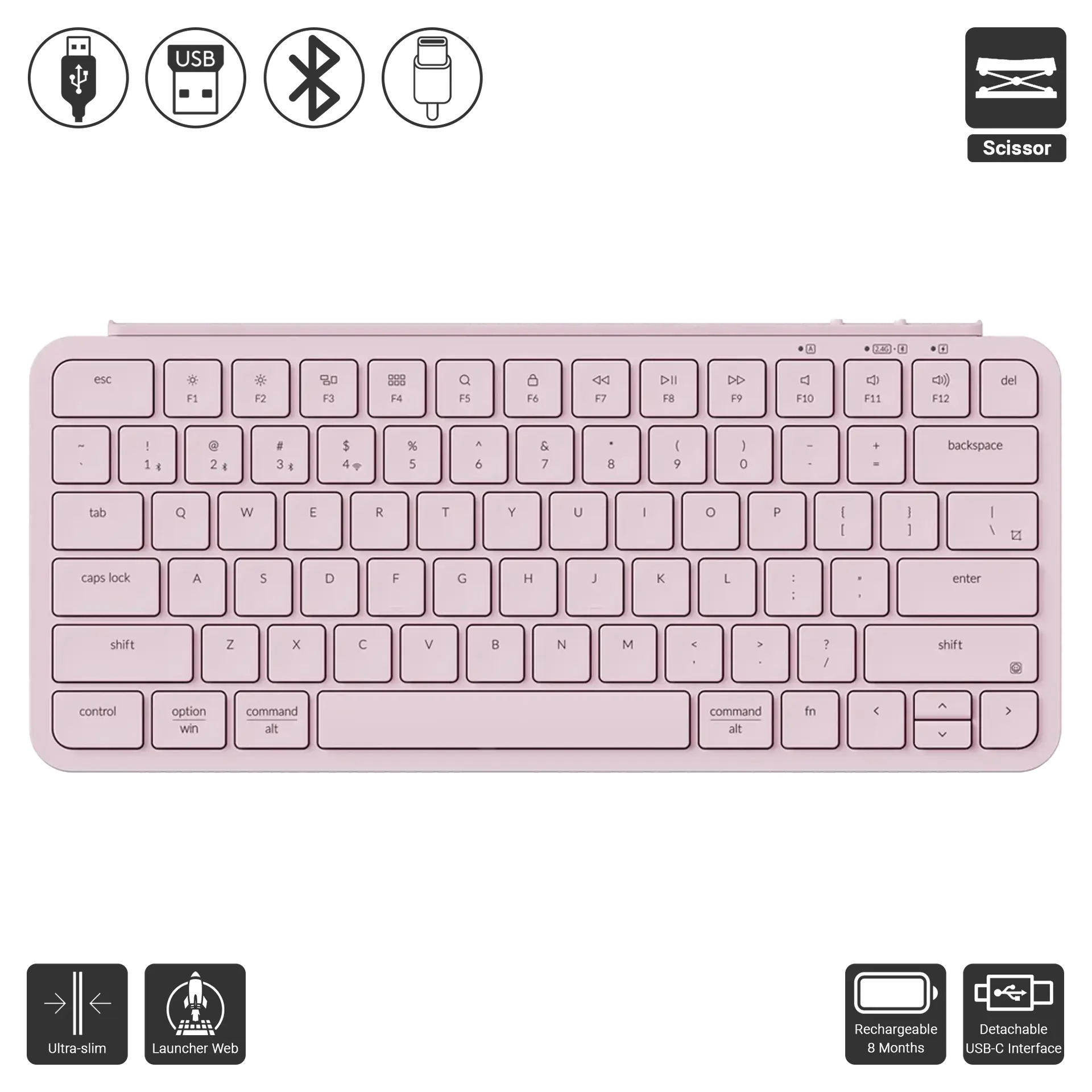 B1 Pro