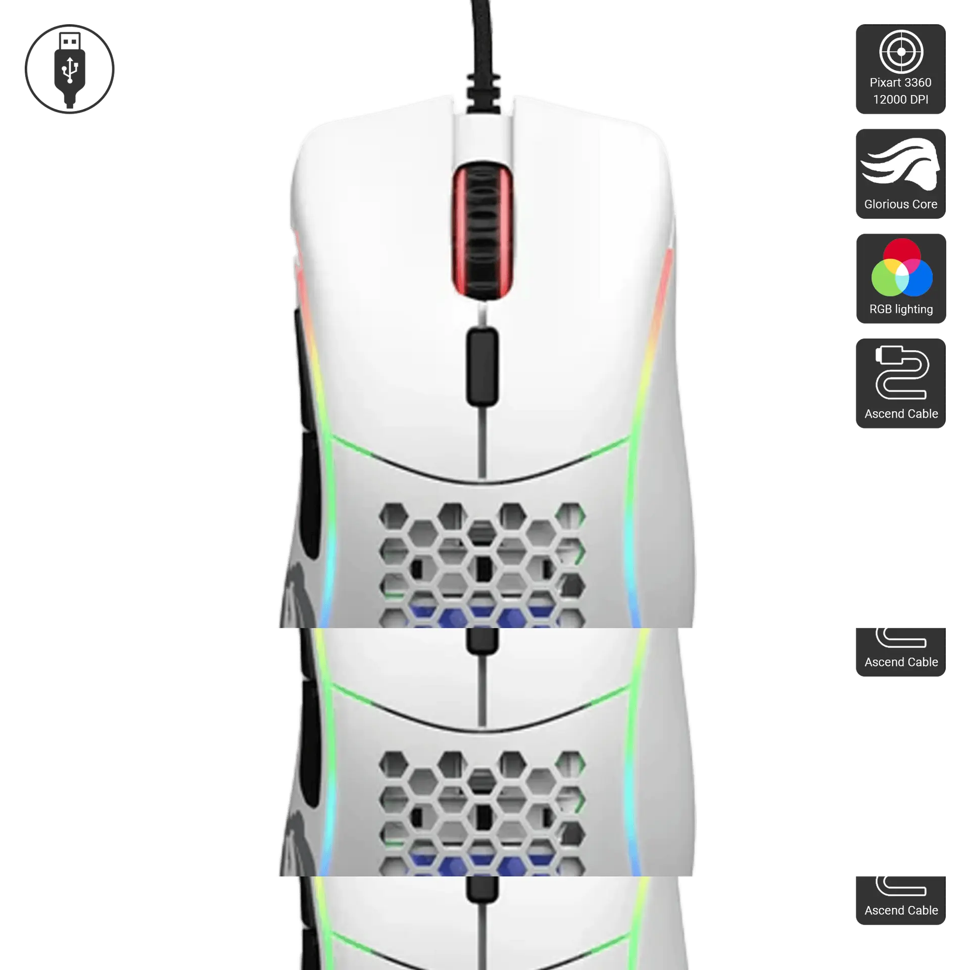 Model D Minus