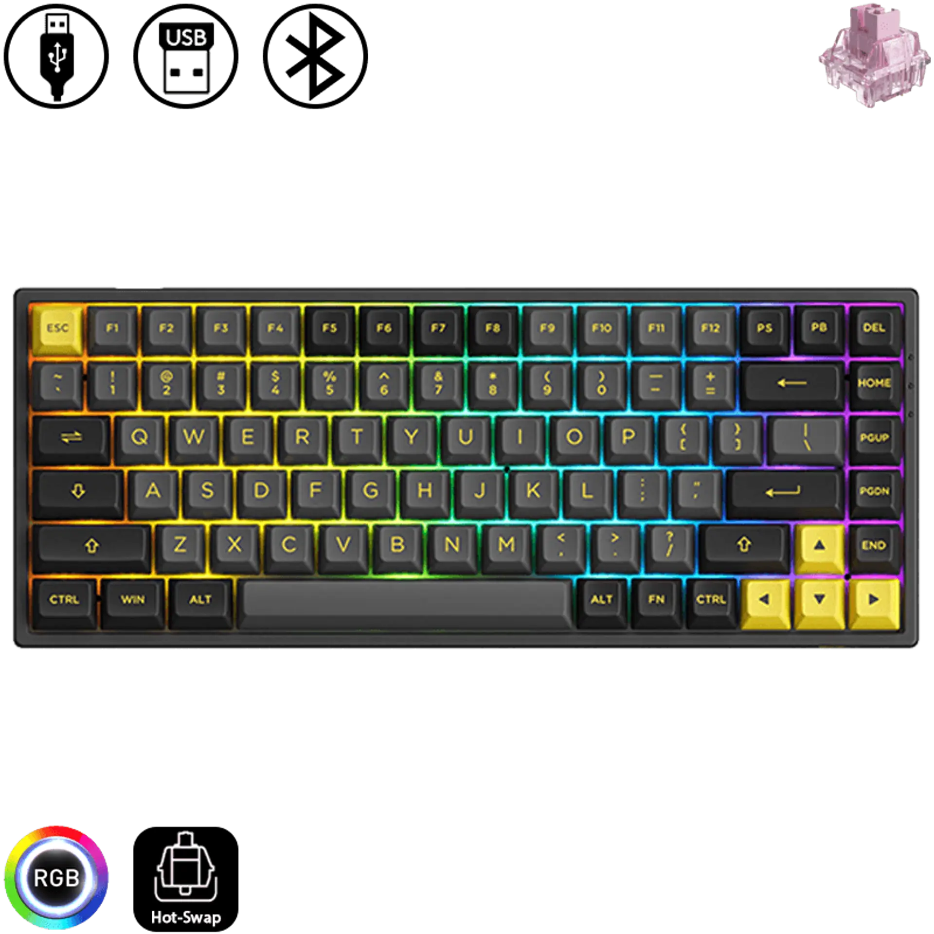 3084B Plus - Black & Gold