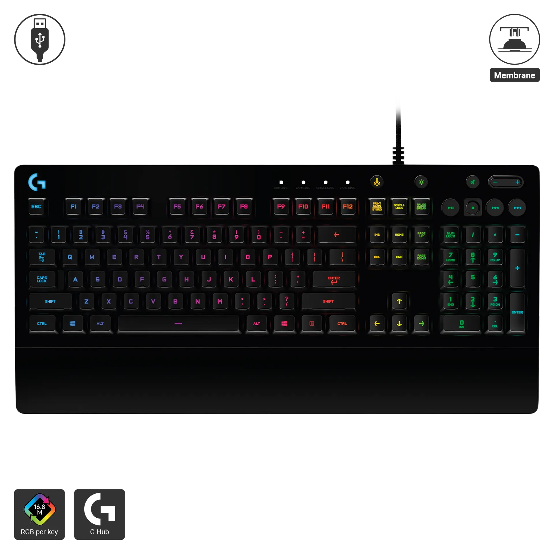G213