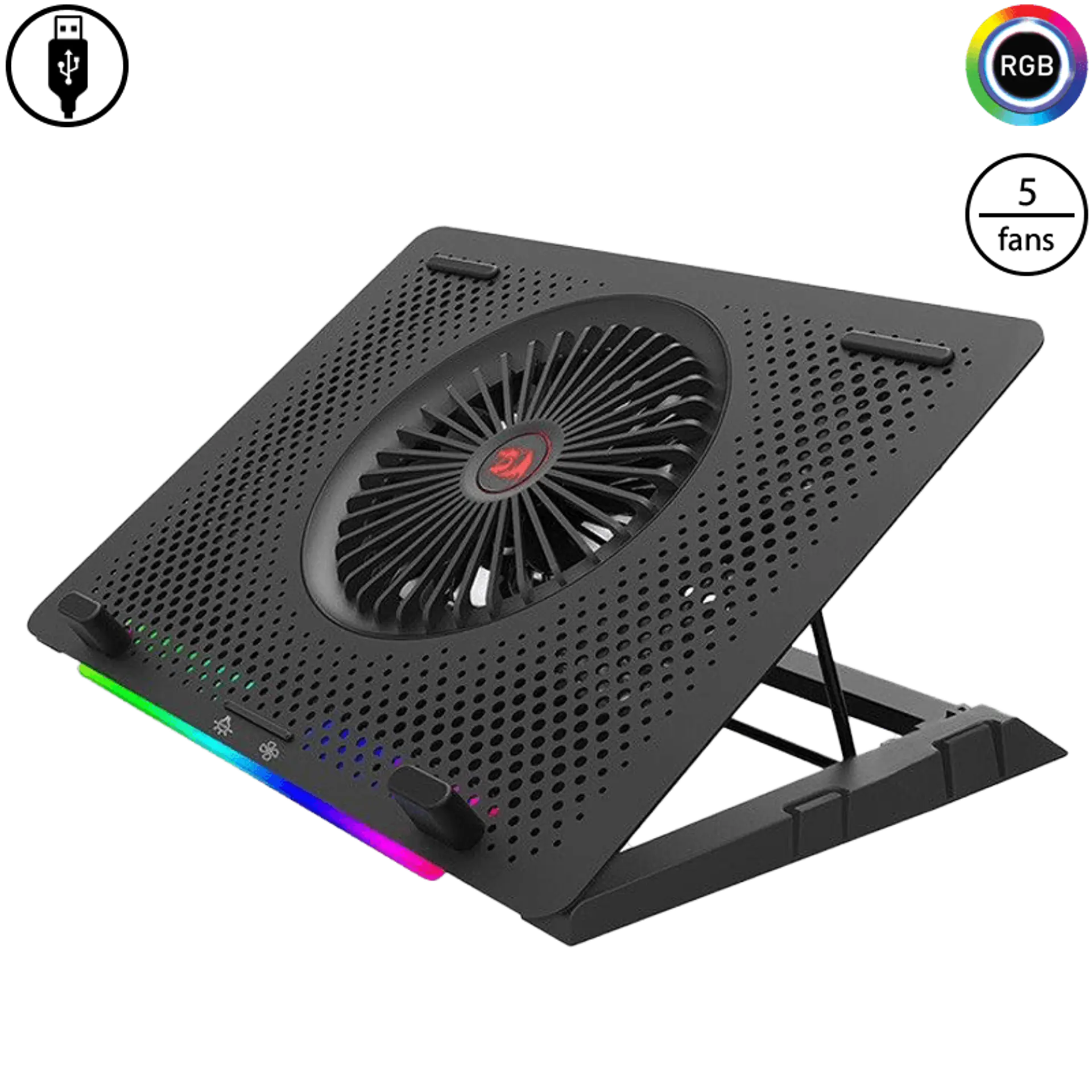 GCP500 Ivy